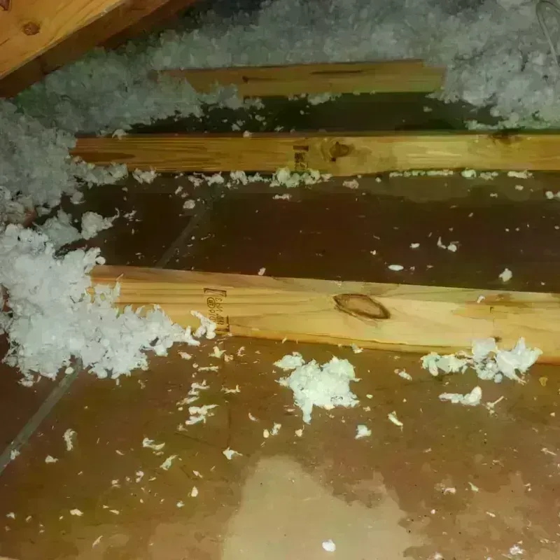 Attic Water Damage in Clinton, MA