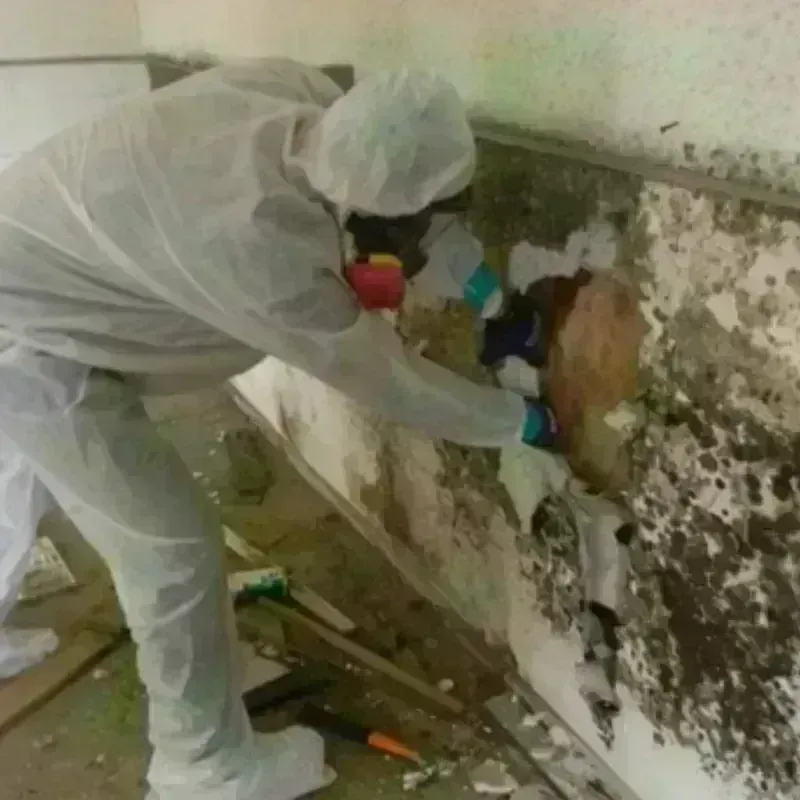 Mold Remediation and Removal in Clinton, MA